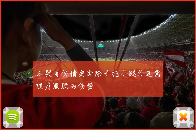 东契奇伤情更新除手指小腿外还需理疗腹股沟伤势