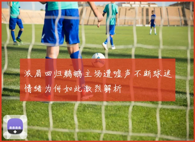 浓眉回归鹈鹕主场遭嘘声不断球迷情绪为何如此激烈解析