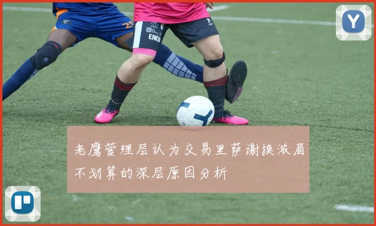 老鹰管理层认为交易里萨谢换浓眉不划算的深层原因分析